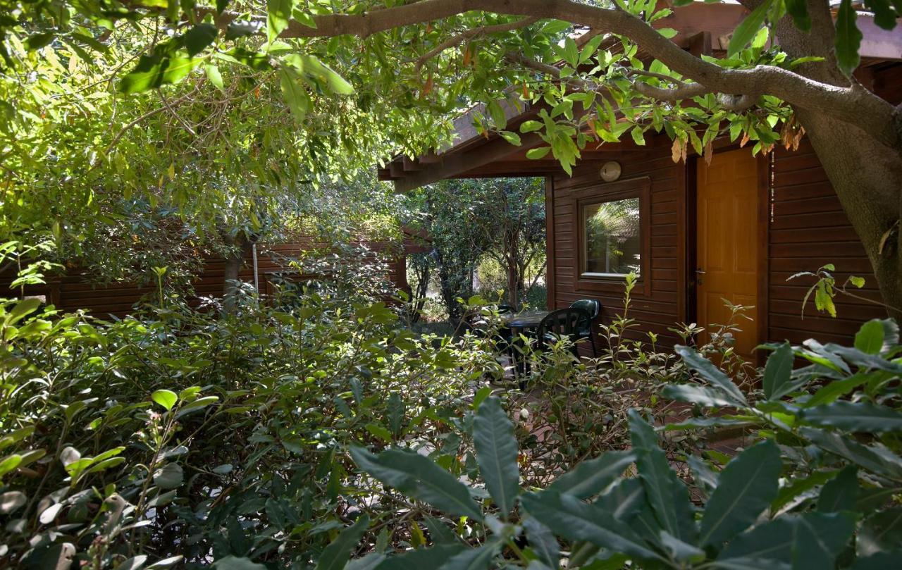 Zohar Badeshe Hotel Daliyya ภายนอก รูปภาพ